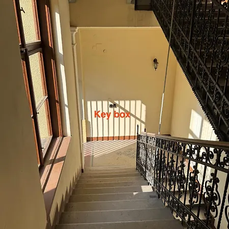 Chilling In The * بودابست